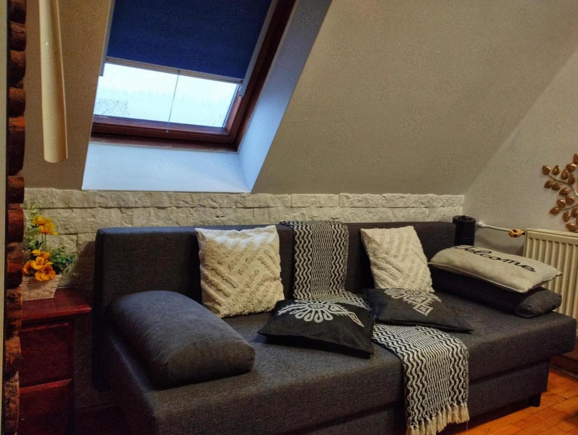 Willa Czajka - Widokowe Apartamenty Zakopane Eksteriør billede